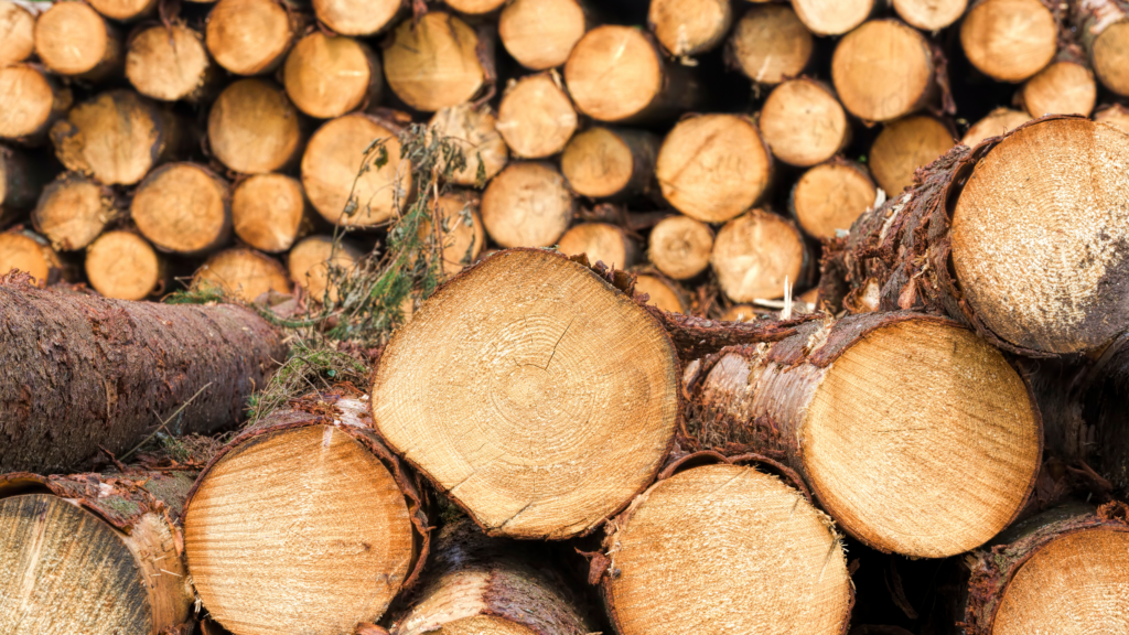 Inzameling en recycling van hout steeds omvangrijker. Martens Wood